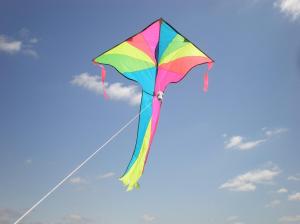 kite_soaring